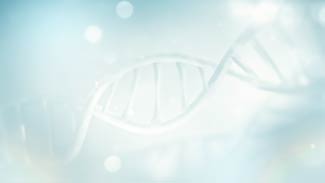 Calm DNA